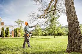 Lawn Renovation and Restoration in Herndon, VA