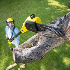 Best Weed Control  in Herndon, VA
