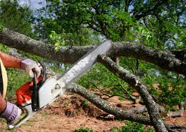 Best Lawn Grading and Leveling  in Herndon, VA