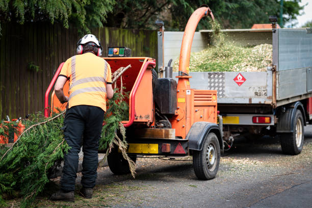 Best Utility Line Clearance  in Herndon, VA