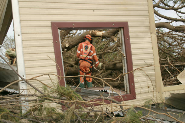 Best Tree Mulching  in Herndon, VA