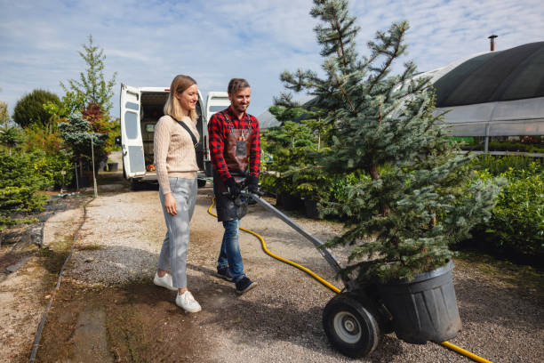 Best Pest Control for Lawns  in Herndon, VA