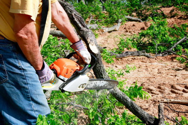 Best Lot and Land Clearing  in Herndon, VA